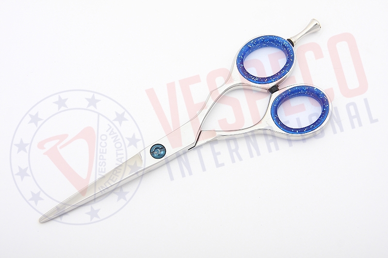 Professional Hairdressing Scissors